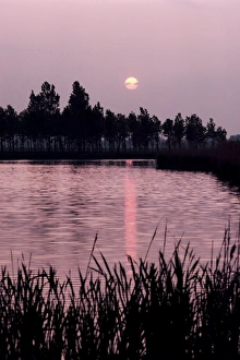 European Sunset Landscape Prints: Danube Bend