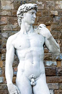The David, Piazza della Signoria, Florence (Firenze), UNESCO World Heritage Site The David, Piazza della Signoria, Florence (Firenze), UNESCO World Heritage Site
