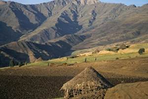 Debirichwa village in early morning, Simien Mountains National Park Debirichwa village in early morning, Simien Mountains National Park