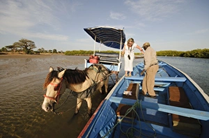 Delivering passangers to pirogue or fishing boat on the backwaters of the Sine Saloum delta Delivering passangers to pirogue or fishing boat on the backwaters of the Sine Saloum delta