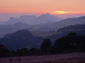 Dentelle de Montmirail, Provence, France, Europe Dentelle de Montmirail, Provence, France, Europe