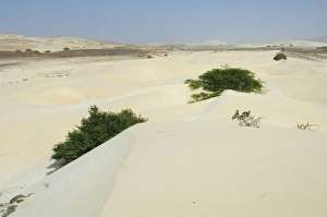 Desert and sand dunes in the middle of the island of Boa Vista, Cape Verde Islands Desert and sand dunes in the middle of the island of Boa Vista, Cape Verde Islands
