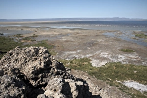 The desolate landscape of Lac Abbe, Djibouti, Africa The desolate landscape of Lac Abbe, Djibouti, Africa