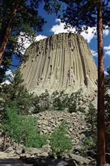 Devils Tower National Monument Prints: Devils Tower