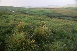 European Union Travel Spots Prints: Dingle Peninsula