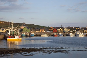 Images Dated 14th April 2010: Dingle Peninsula Print