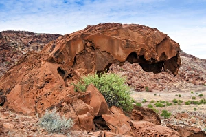 Dinosaur head rock, Twyfelfontein, UNESCO World Heritage Site, Damaraland, Kunene Region Dinosaur head rock, Twyfelfontein, UNESCO World Heritage Site, Damaraland, Kunene Region