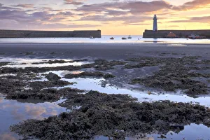 Donaghadee Harbour Print