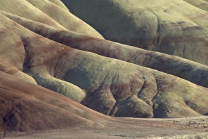 John Day Fossil Beds Monument Prints: Detail from the dramatic landscape of the Painted Hills