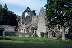 European Ruins Prints: Dryburgh Abbey