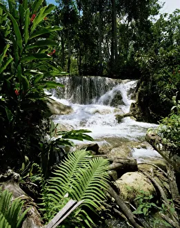 Dunns River Falls Jamaica Prints: Dunns River Falls