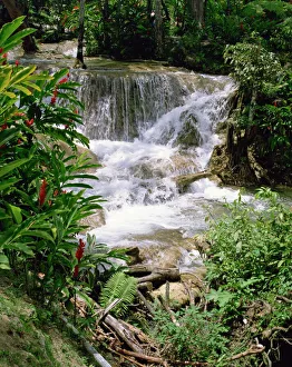 Prints of Dunns River Falls, Ocho Rios, Jamaica, West Indies, Caribbean, Central America Related Image Prints: Dunns River Falls Print, Ocho Rios Jamaica