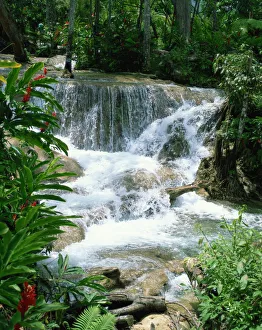 Prints of Dunns River Falls, Ocho Rios, Jamaica, West Indies, Caribbean, Central America Related Image Prints: Dunns River Falls Print