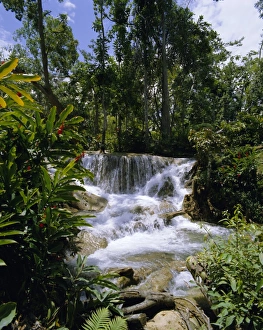 Prints of Dunns River Falls, Jamaica, Caribbean, West Indies, Central America Related Image Prints: Dunns River Falls Print, Jamaica
