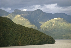 Dusky Sound Print, Fiordland National Park Landscape