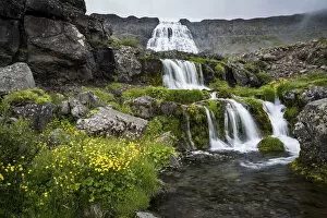 Images Dated 20th July 2017: Dynjandi Waterfall, Westfjords, Iceland, Polar Regions