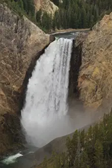 Lower Falls Wyoming Prints: Elevated view of Lower Falls and viewing platform with visitors