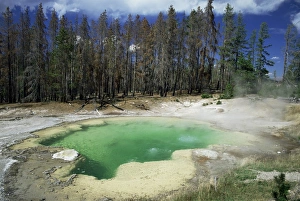 UNESCO World Heritage Site America Prints: Emerald Spring