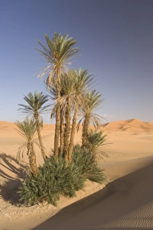 Morocco Desert Landscapes Prints: Erg Chebbi