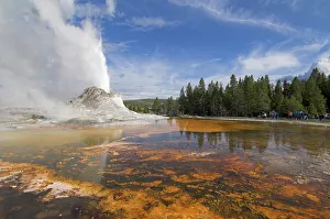 Eruption of Castle Geyser, Upper Geyser Basin, Yellowstone National Park Eruption of Castle Geyser, Upper Geyser Basin, Yellowstone National Park