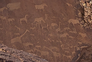Ancient Rock Art Africa Prints: Etchings on sandstone