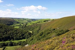 Exmoor from County Gate, looking towards Brendon, Exmoor National Park Exmoor from County Gate, looking towards Brendon, Exmoor National Park