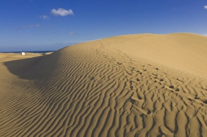 Famous sand dunes of Maspalomas, Gran Canaria, Canary Islands, Spain, Europe Famous sand dunes of Maspalomas, Gran Canaria, Canary Islands, Spain, Europe