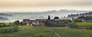 Images Dated 30th April 2014: Farm house and vineyards near Dobrovo, Goriska Brda (Gorizia Hills), Slovenia, Europe