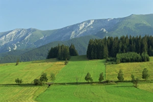 Prints of Farmland, High Tatras, near Zdair and the Polish border, Slovakia, Europe Slovakia Prints: Farmland Print, High Tatras Landscape
