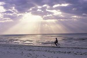 Fisherman cycling along the beach near Bweju against dramatic sky, island of Zanzibar Fisherman cycling along the beach near Bweju against dramatic sky, island of Zanzibar