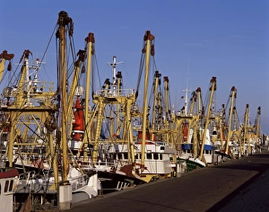 Fishing Fleet Print - Den Helder Harbour Scene