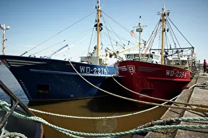 Fishing fleet, Wexford, Leinster, Republic of Ireland, Europe Fishing fleet, Wexford, Leinster, Republic of Ireland, Europe