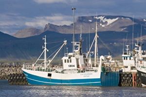 Fishing trawler lying in the habour of Olavsvik, Western Iceland, Polar Regions Fishing trawler lying in the habour of Olavsvik, Western Iceland, Polar Regions