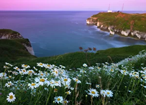 Flamborough Head, Yorkshire, England, United Kingdom, Europe Flamborough Head, Yorkshire, England, United Kingdom, Europe