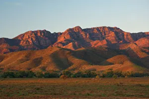 Flinders Ranges, Flinders Ranges National Park, South Australia, Australia, Pacific Flinders Ranges, Flinders Ranges National Park, South Australia, Australia, Pacific