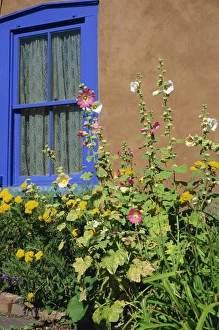 Vertical Landscape Images Prints: Flower bed and window