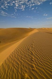 Footsteps in sand dunes at sunset, near Chinguetti, Mauritania, Africa Footsteps in sand dunes at sunset, near Chinguetti, Mauritania, Africa