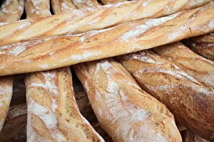 Images Dated 13th March 2011: French baguettes, Paris, France, Europe