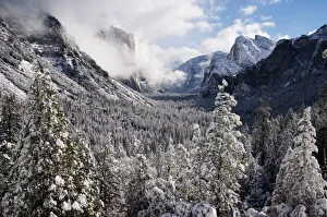 Fresh snow fall on El Capitan in Yosemite Valley Fresh snow fall on El Capitan in Yosemite Valley