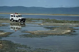 Game viewing from Landrover, Ngorongoro Crater, UNESCO World Heritage Site Game viewing from Landrover, Ngorongoro Crater, UNESCO World Heritage Site