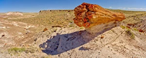 Images Dated 2nd June 2021: A giant petrified log on a sandstone pedestal on the edge of the Blue Mesa in Petrified