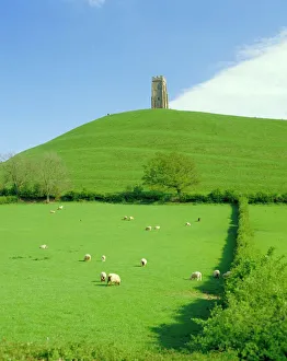 Prints of Glastonbury Tor, Glastonbury, Somerset, England, UK Somerset Prints: Glastonbury Tor Print