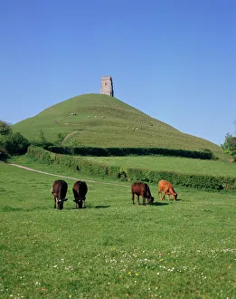 UK Landmarks Prints: Glastonbury Tor, Somerset, England, United Kingdom, Europe