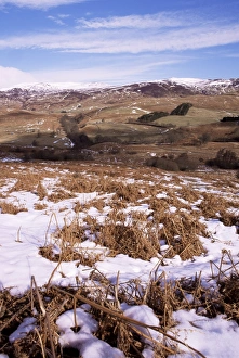 Scotland Travel Destination Prints: Glen Lednoch