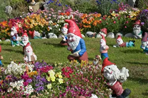 Gnomes, Port Stanley, Falkland Islands, South America Gnomes, Port Stanley, Falkland Islands, South America