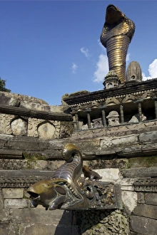 Asia Travel Destination Images Prints: Goat