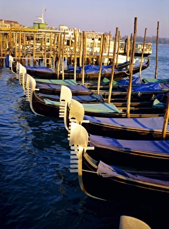 Gondolas On The Grand Canal Prints: Gondolas at dusk