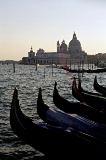 Prints of Gondolas and S.Maria Salute, Venice, Veneto, Italy, Europe Related Prints: Venetian Gondolas and S.Maria Salute Print