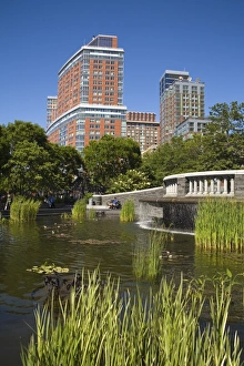 New York City Parks Prints: Governor Nelson A