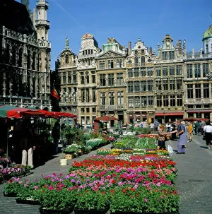 Fund Collection: Grand Place, Brussels (Bruxelles), Belgium, Europe